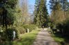 Hamburg-Parkfriedhof-Ohlsdorf-150406-online-DSC_0027.JPG