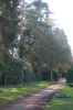 Hamburg-Parkfriedhof-Ohlsdorf-150406-online-DSC_0133.JPG