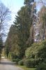 Hamburg-Parkfriedhof-Ohlsdorf-150406-online-DSC_0152.JPG