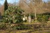 Hamburg-Parkfriedhof-Ohlsdorf-150406-online-DSC_0184.JPG