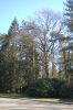 Hamburg-Parkfriedhof-Ohlsdorf-150406-online-DSC_0310.JPG